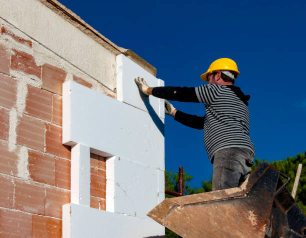 Types of Insulation We Offer in Trinity, FL