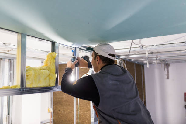 Best Residential Insulation in Trinity, FL