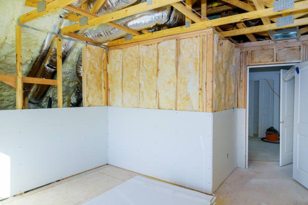 Professional Insulation Contractor in Trinity, FL