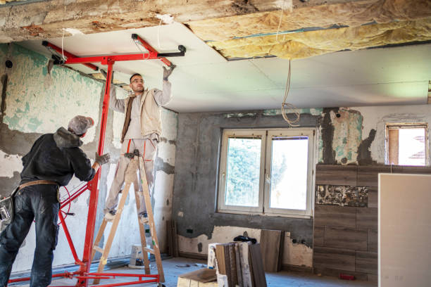 Best Geographic-Specific Insulation Services in Trinity, FL