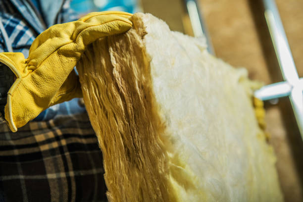 Best Eco-Friendly Insulation in Trinity, FL