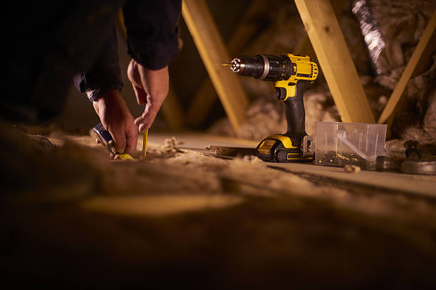 Best Cellulose Insulation in Trinity, FL